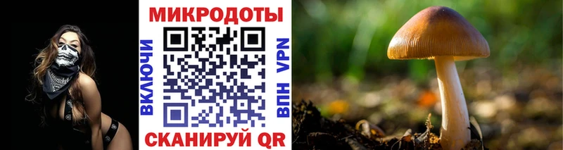 Купить  Вичуга  Галлюциногенные грибы прущие грибы 